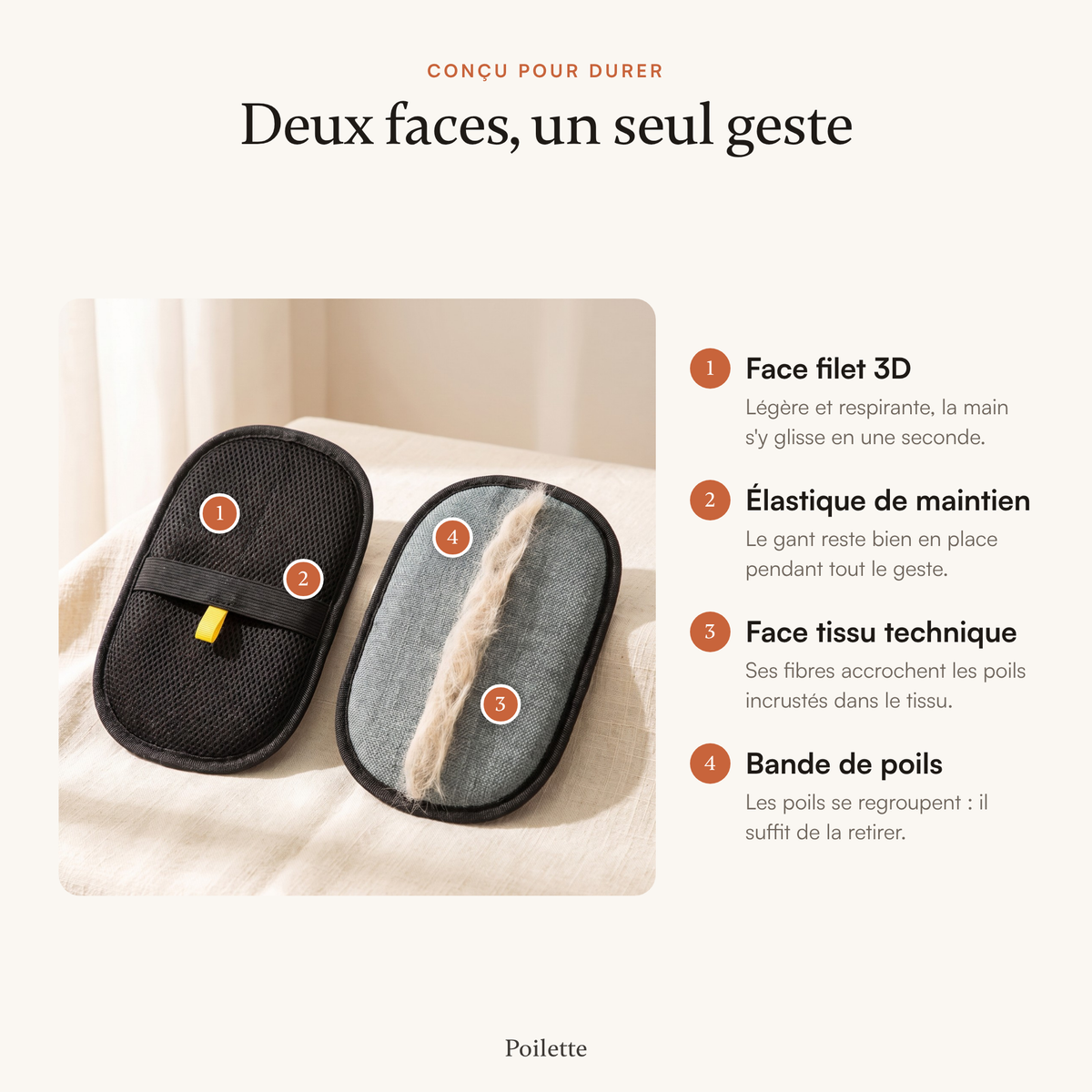 Les deux faces du gant Poilette