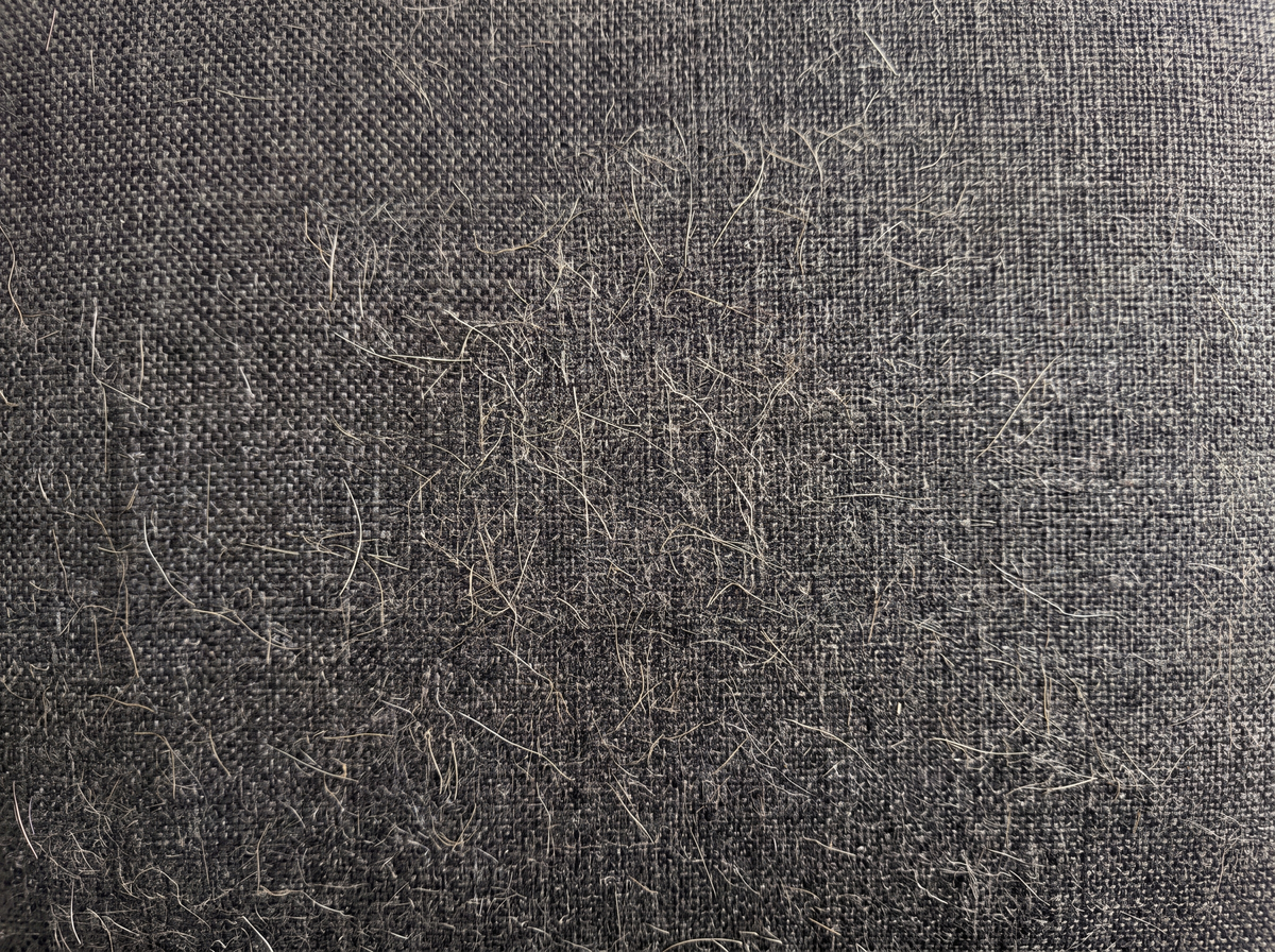 Tissu couvert de poils avant Poilette