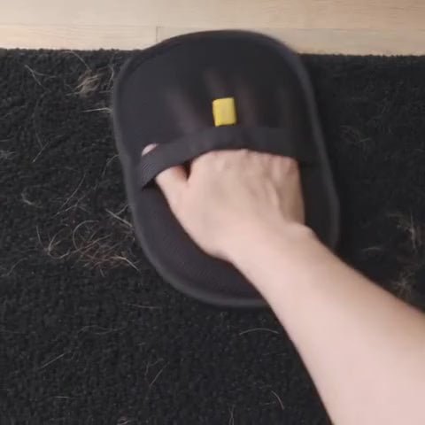 Le gant Poilette retire les poils d'un tapis puis d'un pantalon